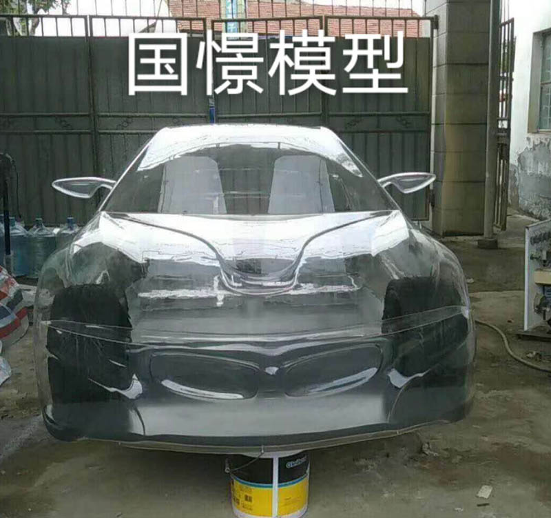 石门县透明车模型